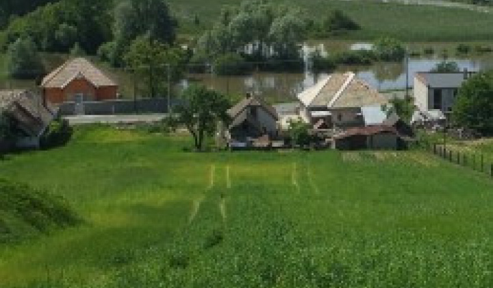 1. fotografia fotogalérie História