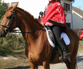 Ludányhalászi