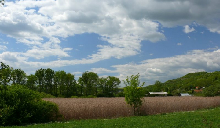 14. fotografia fotogalérie 