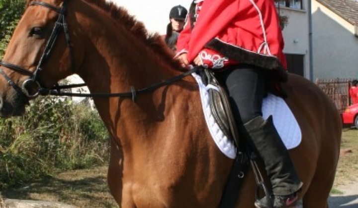 24. fotógaléria fotózás Ludányhalászi